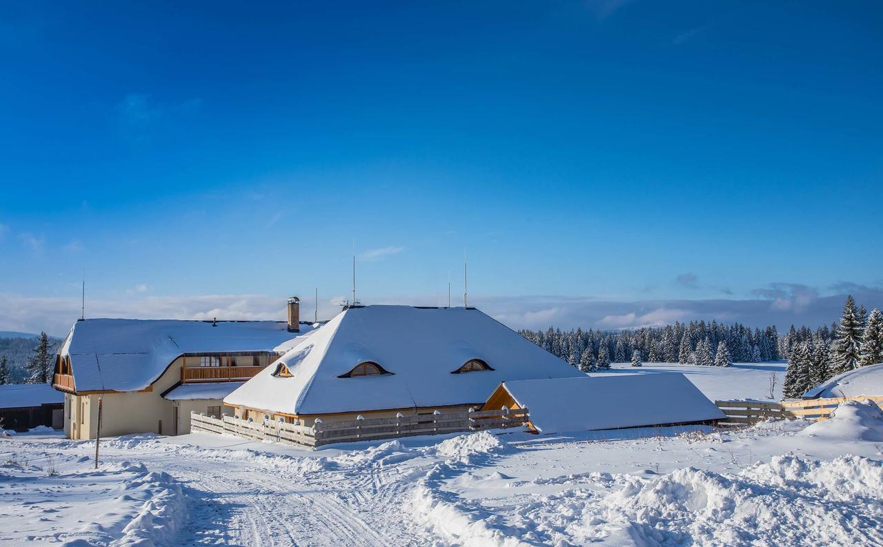 Ea Horsky Hotel Hajenka Modrava Buitenkant foto